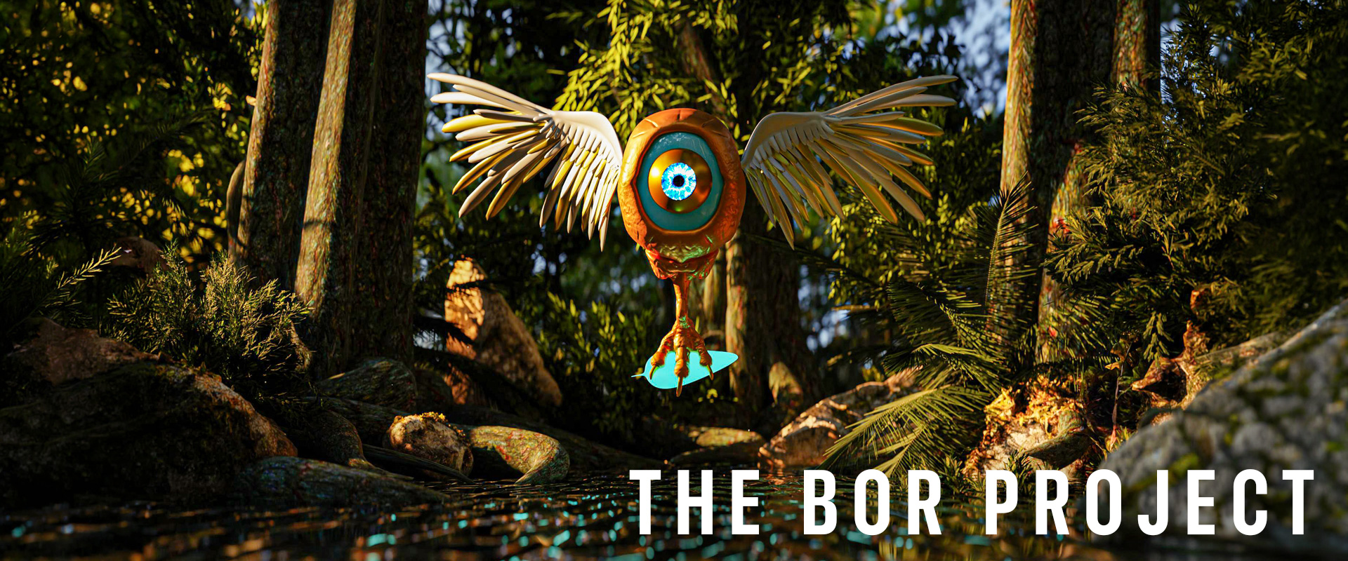 THE BOR PROJECT